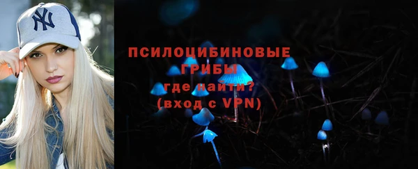 СК Алексин