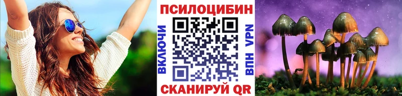 как найти наркотики  Нововоронеж  Галлюциногенные грибы мухоморы 